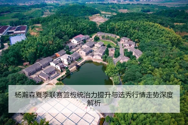 杨瀚森夏季联赛篮板统治力提升与选秀行情走势深度解析